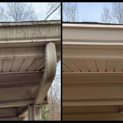 Soft-Wash/Gutter Cleaning